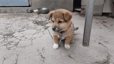 d92f45b87b2da547510ef14183bc594a.gif