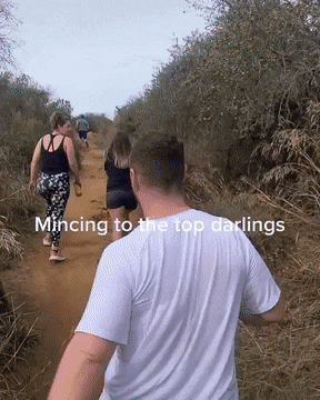 da22b65c97bd528631ed3184ddc46d64.gif