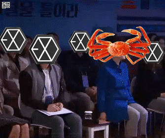 da31663d6bff806dffc3512c0348d91d.gif