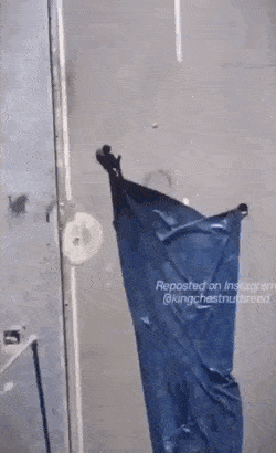 db1422a29fe3afa660e8db4cc5346e8d.gif