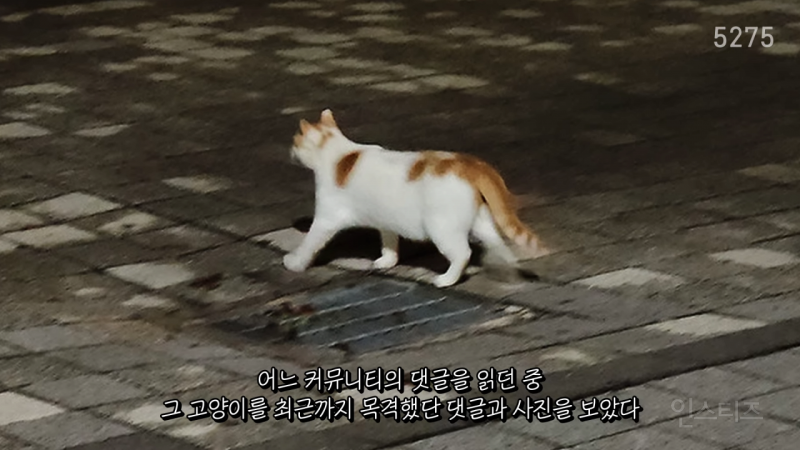 defc7179fb9d59e35bf569ed44ae8d93.png