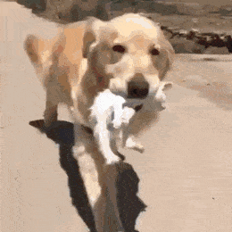 e028aca1db9586aa6fedc0973d0cf1a6.gif