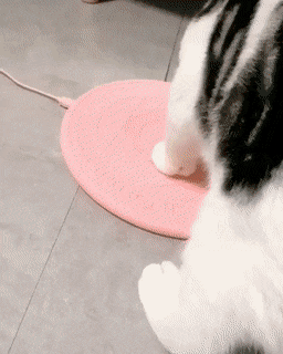 e329420d2cbff03bd0370e9256568f92.gif