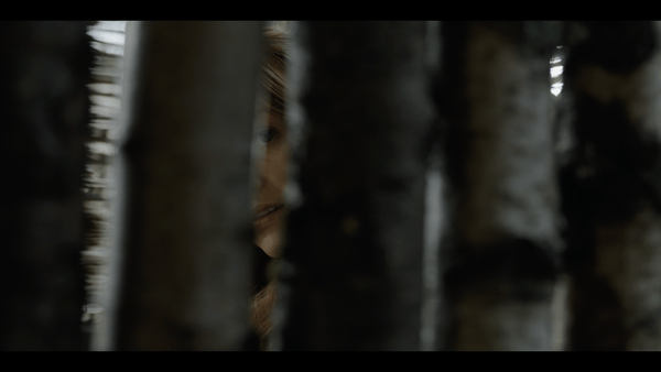 e3ac0d66da1fddf1d1b590f219769ae0.gif