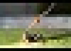 e43b9a174c4463fc1a106ab9710c418f.jpg