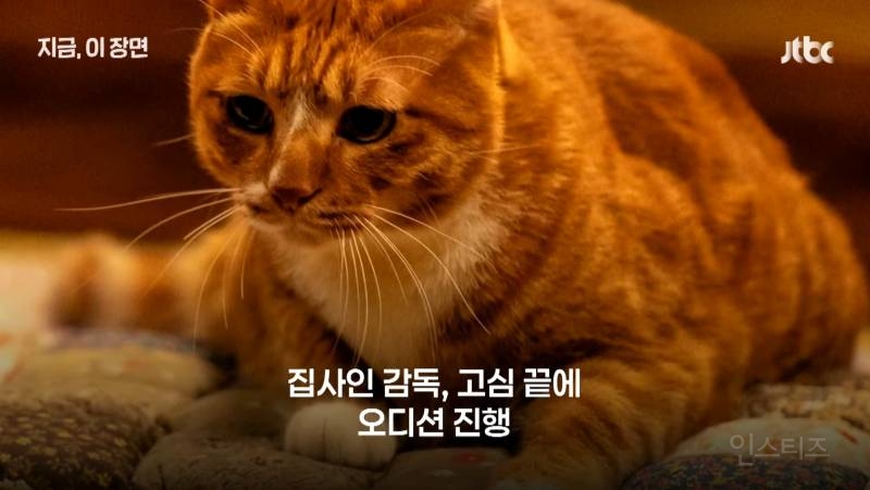e4779c7c10bf005093bbb3aef7e6d229.jpg