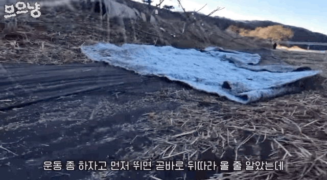 e52df52a05081b8bc7ba29a13de3261e.gif