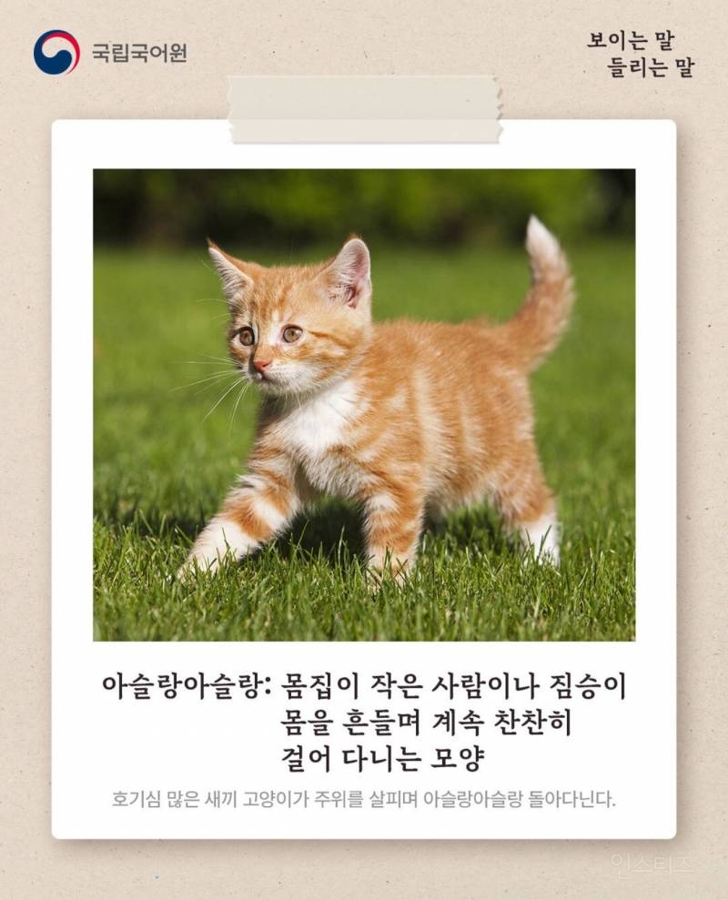 e63fee25fafa7841cd523b2269ba9634.jpg