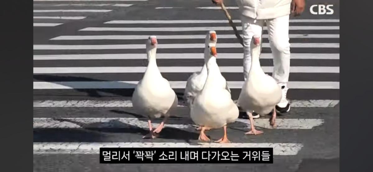 e8ade501a15d5110e4f3d40301941170.png