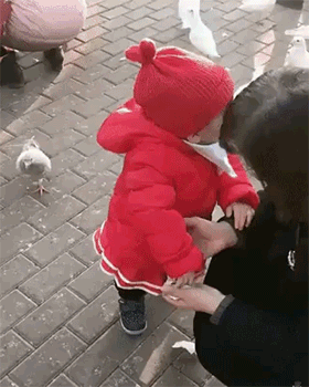 e98cf0c887618ba49cda637b625c44bd.gif