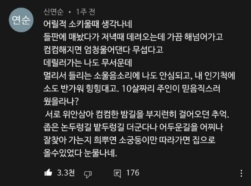 e9a11f1608be23793db00c02da5d753d.jpg