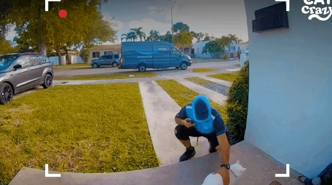 ec7f51d2a945c6a3af104cf33e475714.gif