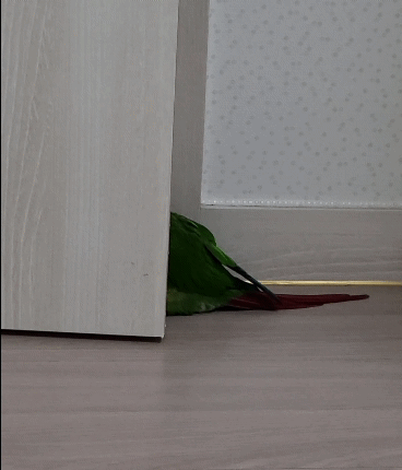 ef191fd8fe66cbe16e140dec7c69e076.gif
