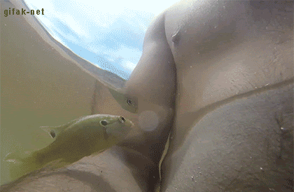 f30c948de87ee67c2fe1bbe9d6f5bc47.gif