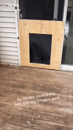 f3a778f01ef587f388e8d36363114a75.gif