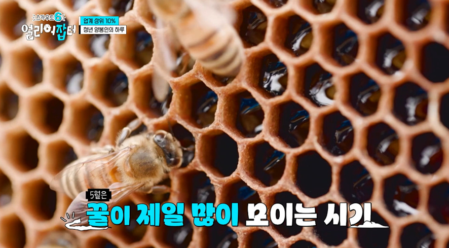 f3cff7d63440ca1b812be20e54400413.png