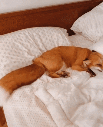 fa713efec943d4b30230508c2bb7047d.gif
