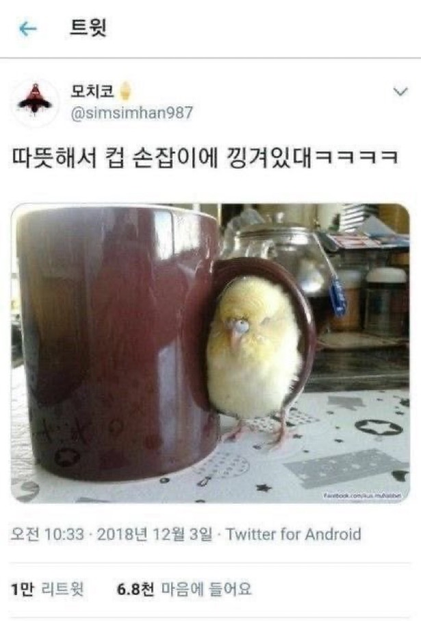 fc72d49a54d47c500adae4697df42bc2.jpg
