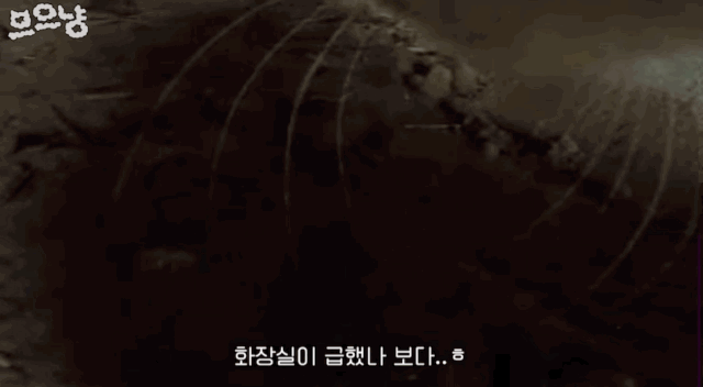 fd4e798e6b5c207c57a8beca320da136.gif