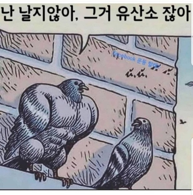 fe6cc7de8c901b74a0c7c67c18cbdbfe.jpg