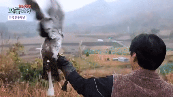 ff4c517e779a2fed0b4f654d04e485ca.gif