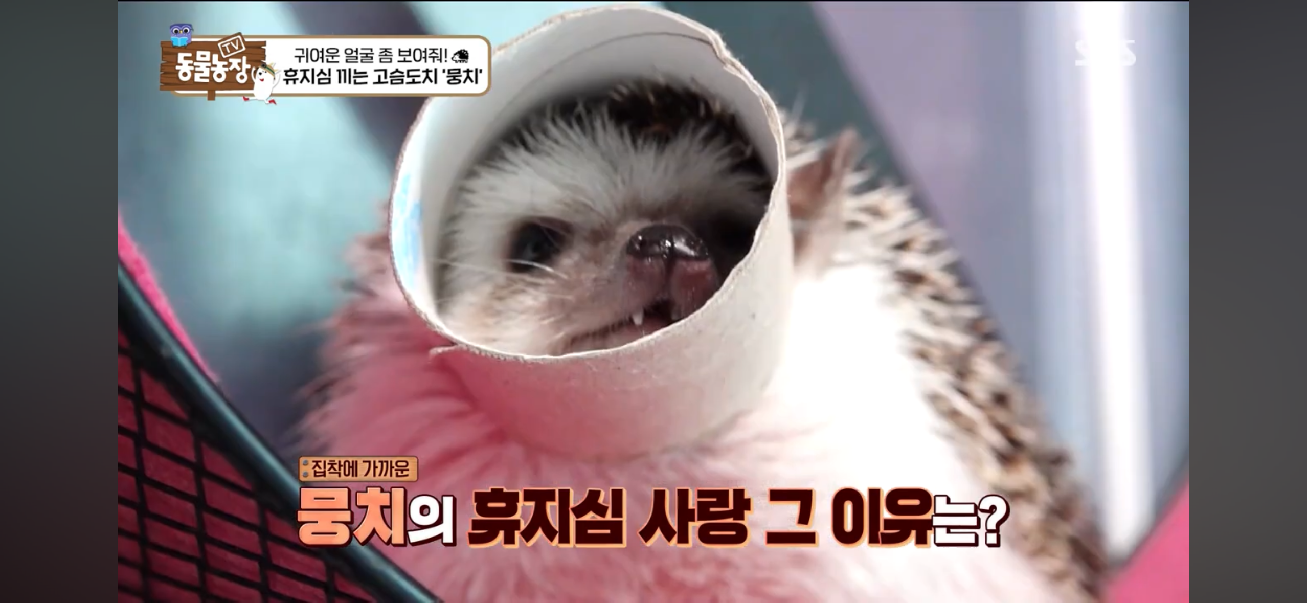 ff8a78d81c88d1f07f65b32ead8454cd.png